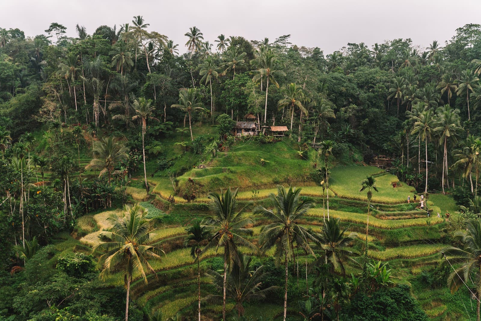 Ubud, Bali, Indonesia