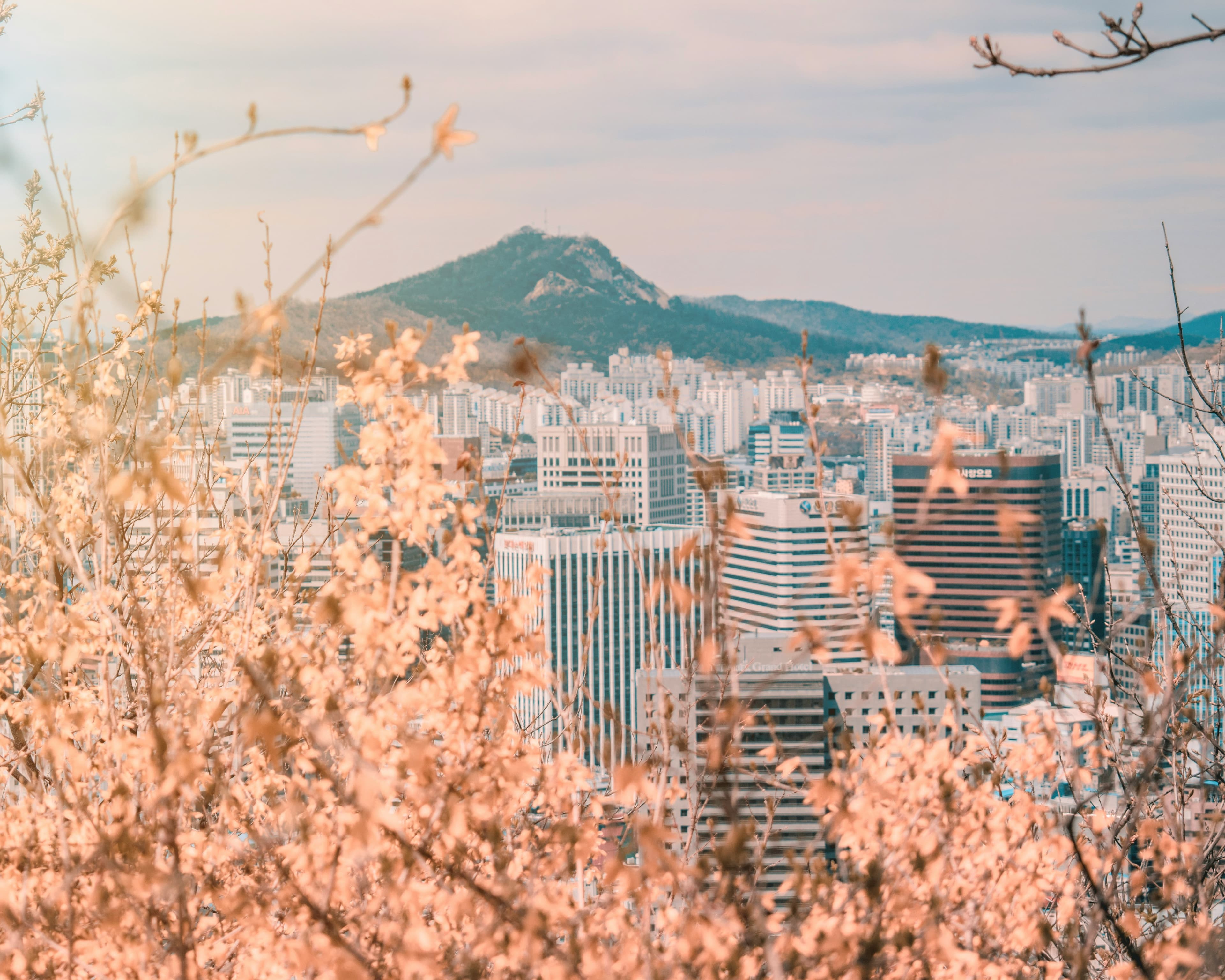 Sustainable Travel in Seoul