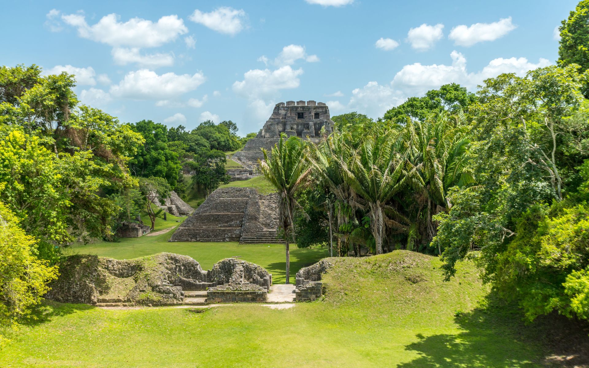 Ancient Maya stone temples and steps surrounded by palms and dense green forest