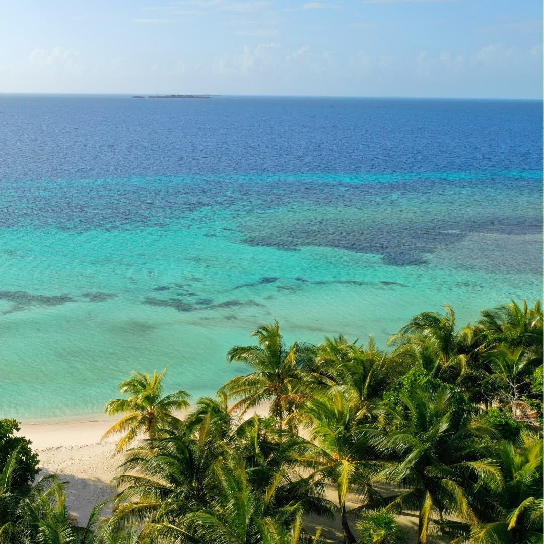 Palm trees lining a sandy coast beside clear turquoise water and the open sea
