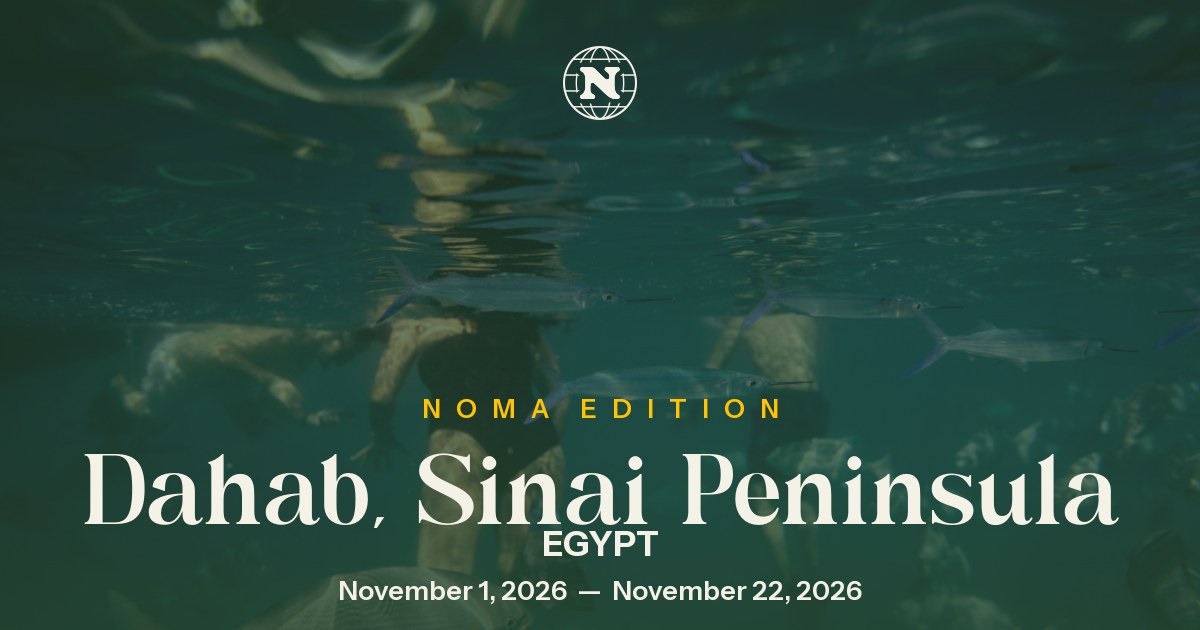 Noma Collective — Dahab