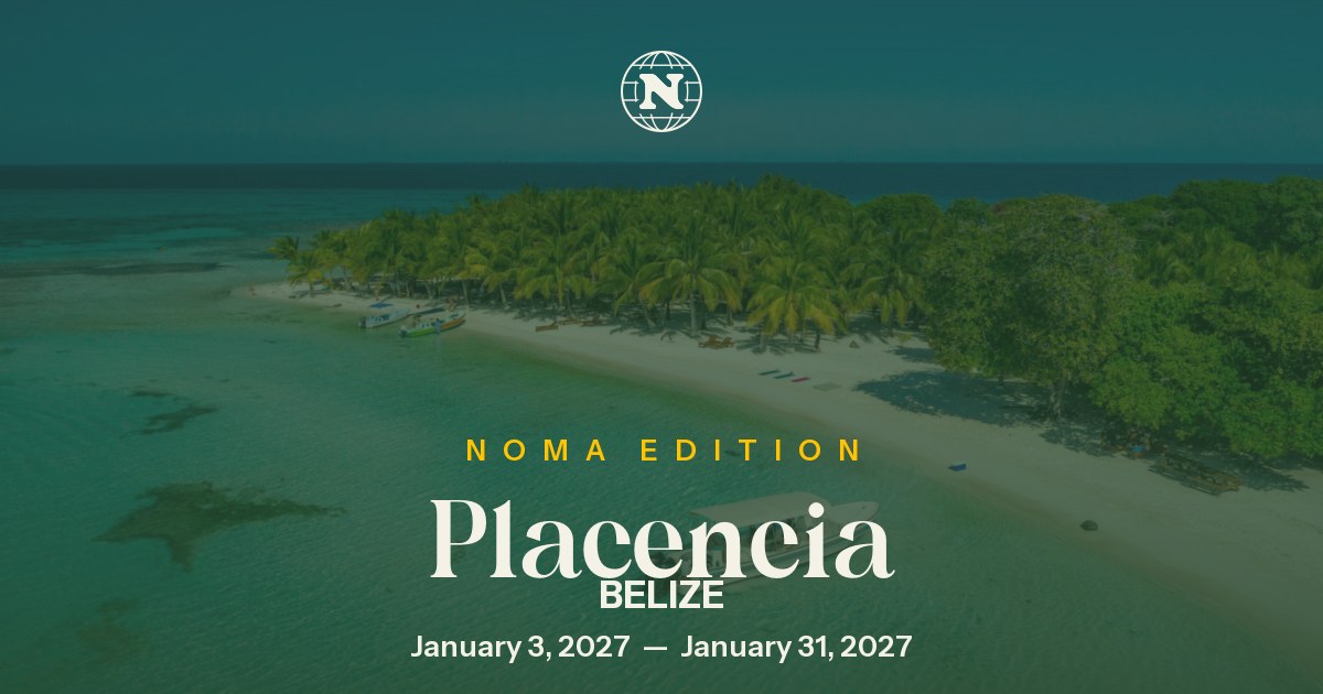 Noma Collective — Placencia (Nov 2026)