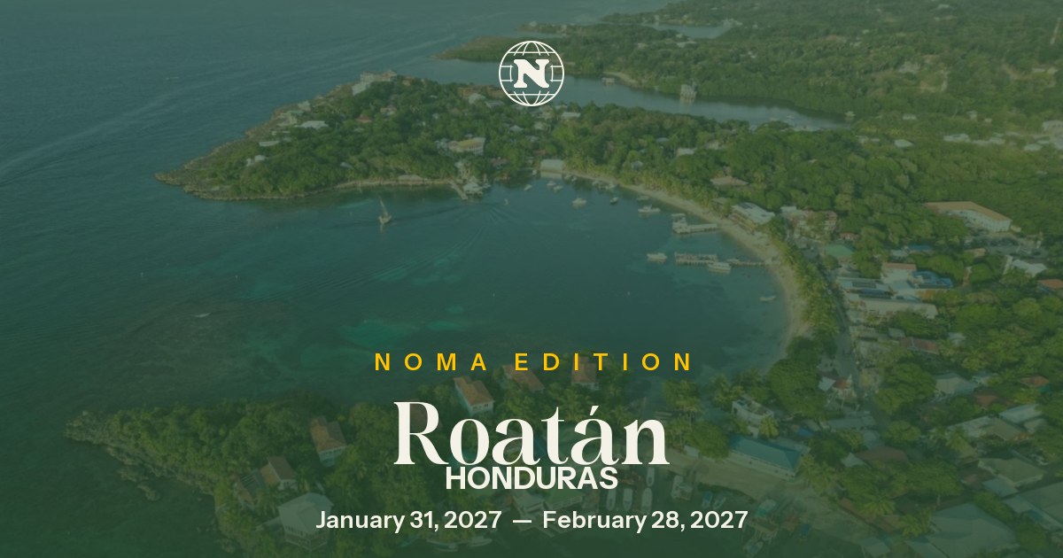 Noma Collective — Roatan