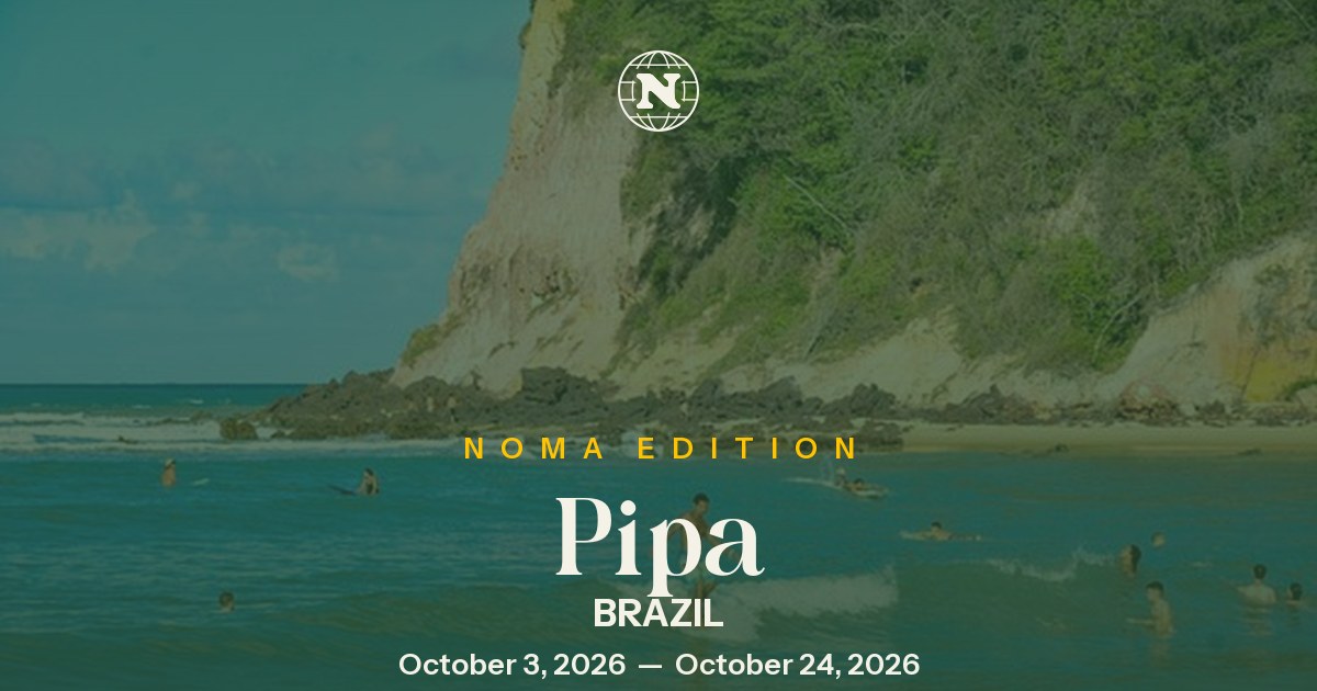 Noma Collective — Pipa