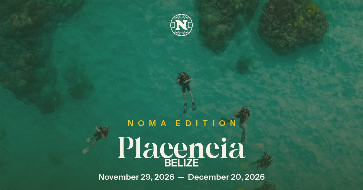 Hacker Paradise — Placencia
