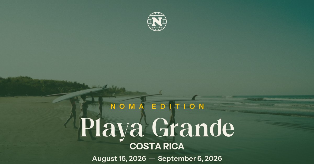 Noma Collective — Playa Grande